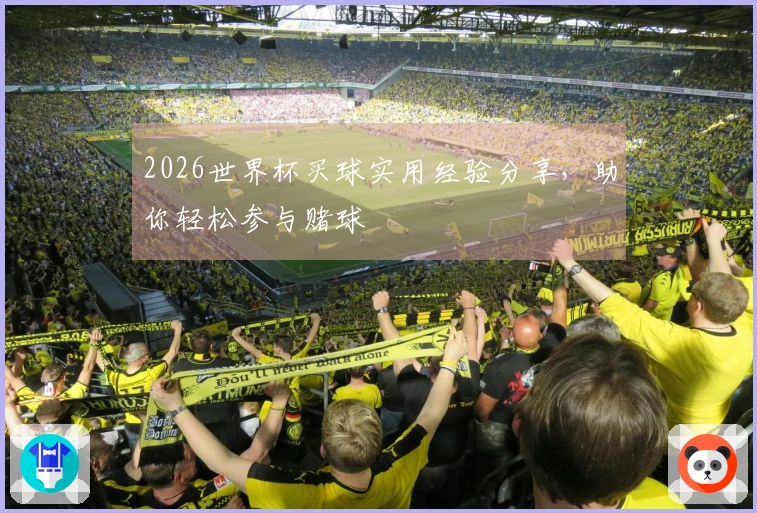 2026世界杯买球实用经验分享，助你轻松参与赌球