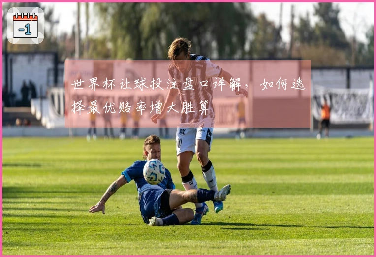 世界杯让球投注盘口详解，如何选择最优赔率增大胜算
