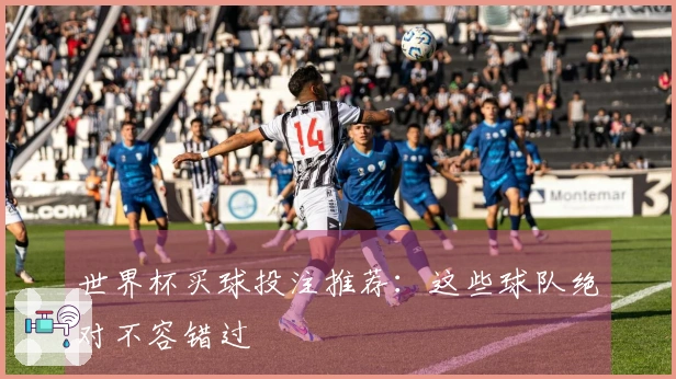 世界杯买球投注推荐：这些球队绝对不容错过