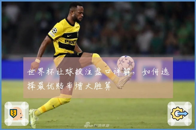 世界杯让球投注盘口详解，如何选择最优赔率增大胜算