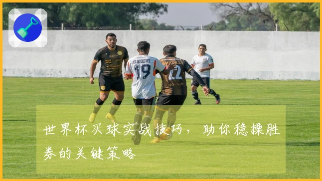 世界杯买球实战技巧，助你稳操胜券的关键策略