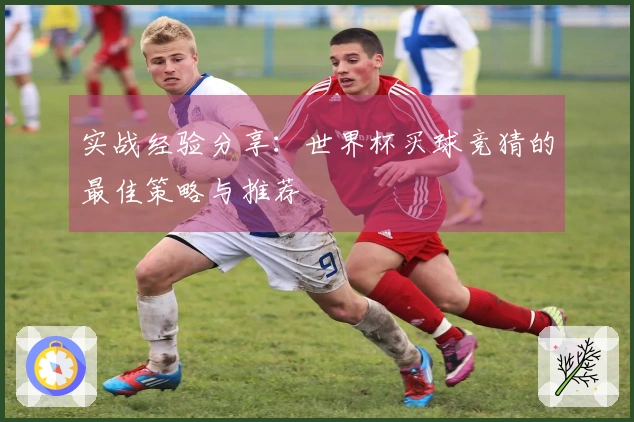 实战经验分享：世界杯买球竞猜的最佳策略与推荐